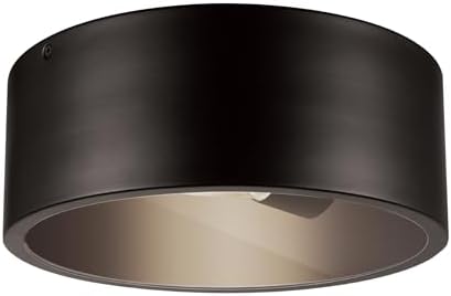 Globe Electric 44479 Teagan 1-Light Outdoor Indoor Flush Mount Ceiling Light, Dark Bronze, Clear Glass Shade, Bulb Not Included