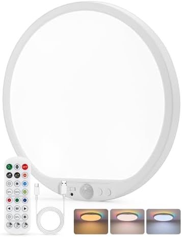 Bojim 10000mAh Battery Operated Ceiling Light with Remote RGB Backlight