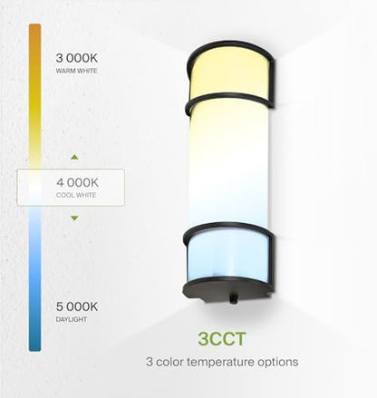 ASD LED 18" Vanity Flush Mount Light Fixture, Linear Bathroom Lighting Bar | 3CCT, Dimmable, Energy Star, ETL Listed | 20W 1650LM 3000-5000K 120V | Long Tube Bath Wall Sconce Over Mirror | Black