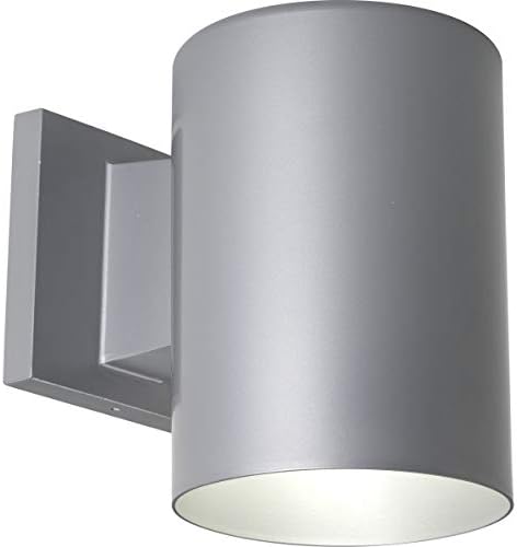 Progress Lighting Cylinder Outdoor Wall Light, Metallic Gray