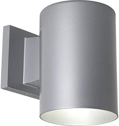 Progress Lighting Cylinder Outdoor Wall Light, Metallic Gray