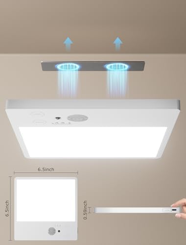Rechargeable Motion Sensor Ceiling Light with Remote