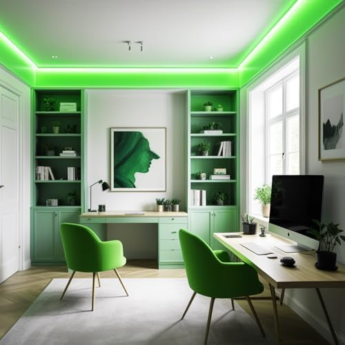 iNextStation 16.4FT DC12V LED Strip Lights Green Neon Rope Lights (No Plug)