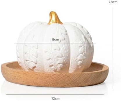 Plant Therapy Pumpkin Passive Fall Diffuser for Essential Oils