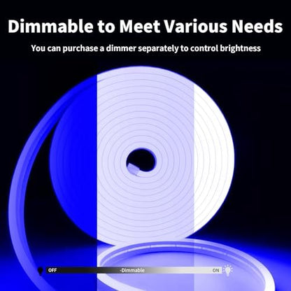iNextStation 16.4FT 12V LED Strip Light Blue Neon LED Rope Lights (No Plug)