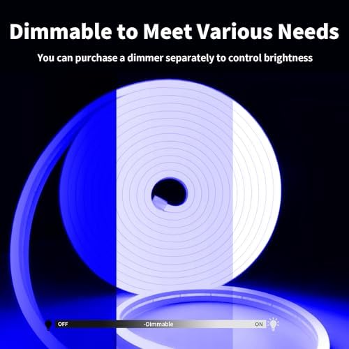 iNextStation 16.4FT 12V LED Strip Light Blue Neon LED Rope Lights (No Plug)