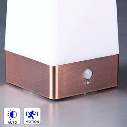 WRalwaysLX 2Pack Bedside Lamp PIR Motion Sensor LED Night Light,3 Modes Battery Powered Small Table Lamp,USE 3x1.5VAAA Battery,Sensitive Portable Moving Lamp