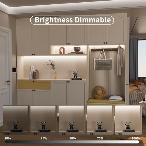 MIWISE COB LED Strip Light 20ft/6.1m,CRI 90+ Daylight White 6000K High Lumen Dimmable Super Bright Flexible DC24V LED Tape Light with Controller/Dimmer,for Cabinet Home Office DIY Lighting Projects