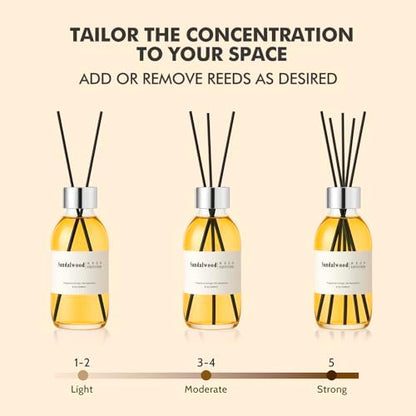 Clesh Reed Diffuser Set, 6.7 oz Sandalwood Scented Diffuser with Sticks, Home Fragrance Reed Diffuser for Bathroom Shelf Decor