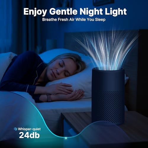 Air Purifiers for Bedroom, Dorm Room, True HEPA Filter for Smoke, Graphite