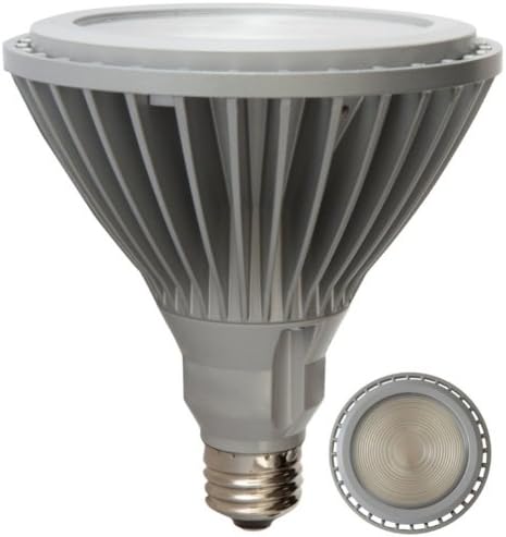 GE Lighting 65421 Energy Smart LED 17-Watt (60-watt replacement) 820-Lumen PAR38 Floodlight Bulb with Medium Base, 1-Pack