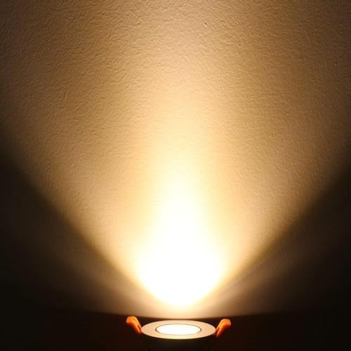 inShareplus 2 Inch LED Downlight, 3W Recessed Lighting COB Dimmable, 3000K Warm White, CRI80, Ceiling Lights with LED Driver, 20 Pack