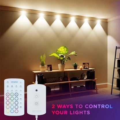 Enbrighten Spectrum Remote Controlled Indoor Accent Wall String Lights