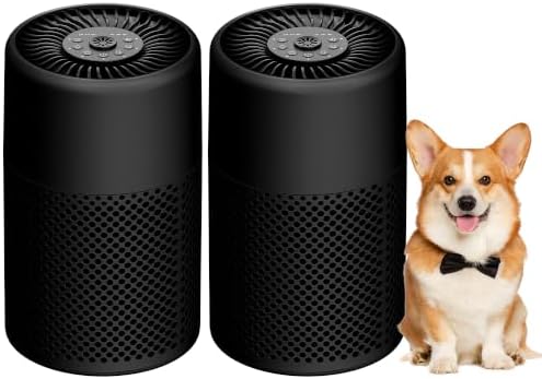 Air Purifiers for Bedroom, Dorm Room, True HEPA Filter for Smoke, Black