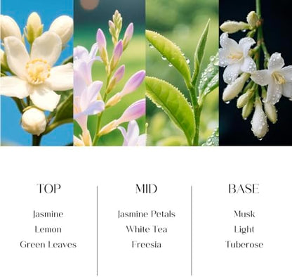 Clesh Reed Diffuser Set, 6.7 oz Jasmine Scented Diffuser with Sticks, Home Fragrance Reed Diffuser for Bathroom Shelf Decor