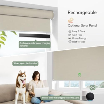 ZSHINE Motorized Blackout Roller Shades Remote Control Rechargeable(82026C)