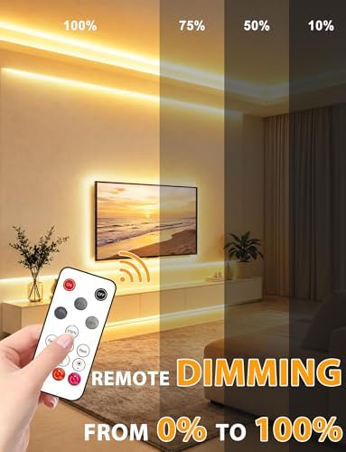 COB LED Strip Lights, Warm White Dimmable Rope with Remote, 9.84ft
