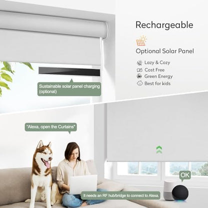 ZSHINE Motorized Blackout Roller Shades Remote Control Rechargeable(82026A)