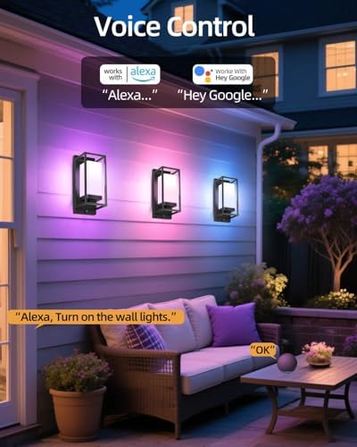 RAYVO Smart Porch Lights RGBCW Outdoor Wall Light, Color Changing Sconce