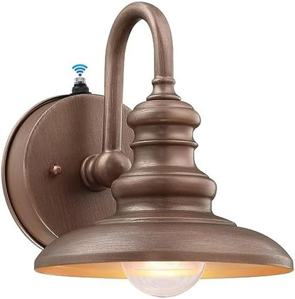 LONEDRUID Dusk to Dawn Sensor Rustic Outdoor Gooseneck Barn Light Fixture