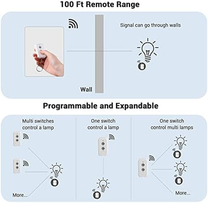 DEWENWILS Wireless Light Switch and Receiver Kit, No in-Wall Wiring Required, Remote Control Switch Lighting Fixture for Ceiling Lights, Fans, Lamps,100 Ft RF Range, Programmable