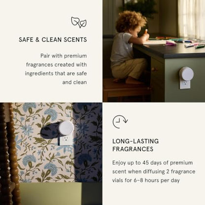 Pura Smart Home Fragrance Device Starter Set - Pura 4 - Scent Diffuser for Home - Includes Fragrance Aroma Diffuser - Square Box, Apple Orchards and Lavender Fields Scent Refills