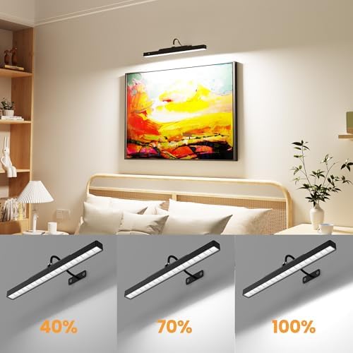 2Pack Picture Light, 13Hrs Lasting Battery Operated Picture Lights for Paintings,16in Remote Control Display Art Light with Timer for Wall Painting, Frame, Portrait, Display,Artwork,Gallery- Black