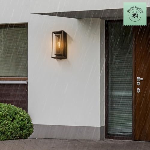 Globe Electric 44228 Montague 1-Light Outdoor Wall Sconce, Bronze, Clear Glass Shade,44228