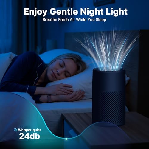Air Purifiers for Bedroom, Dorm Room, True HEPA Filter for Smoke, Black