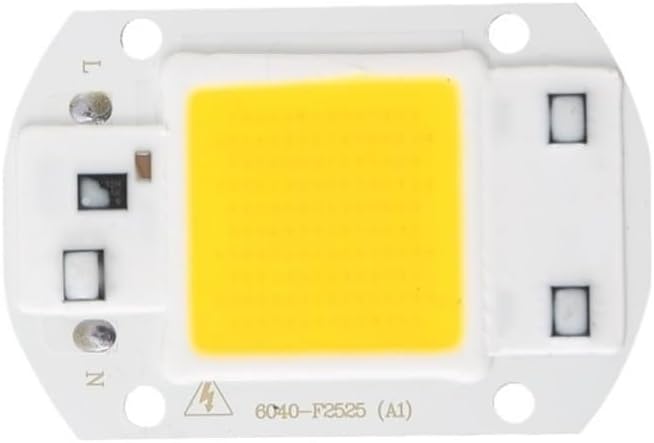 Fengyan Landscape lights LED COB Lamp Chip 10W 20W 30W 40W 50W AC 220V Smart IC LED Beads DIY For LED Floodlight Spotlight Cold White Warm White LED Street Lamp ( Color : Cold White , Size : 30W )