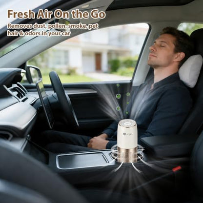 Aucleia Portable Car Air Purifier with H13 HEPA Filter, Smoke Odor Removal