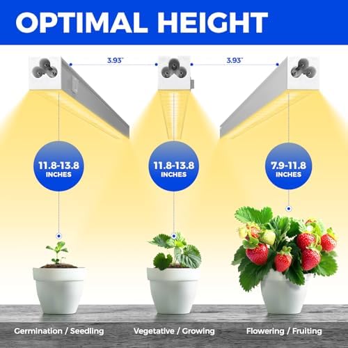 Barrina Grow Lights for Indoor Plant, Full Spectrum, T5 1FT Yellow, 4 Packs