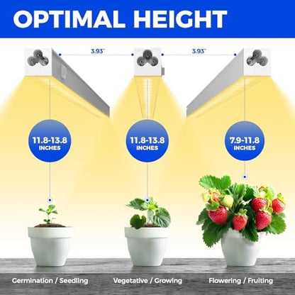 Barrina Grow Lights for Indoor Plant, Full Spectrum, T5 1FT Yellow, 4 Packs