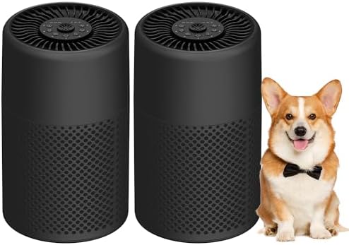 Air Purifiers for Bedroom, Dorm Room, True HEPA Filter for Smoke, Graphite