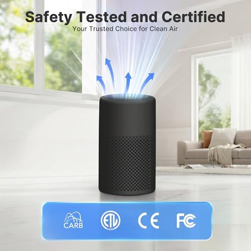 Air Purifiers for Bedroom, Dorm Room, True HEPA Filter for Smoke, Graphite