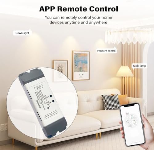 EWeLink 2CH WiFi Relay DC7-32V Inching Self Lock Garage Door Controller