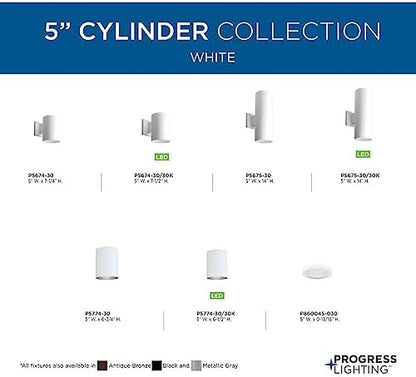 Progress Lighting Cylinder Outdoor Wall Light, White
