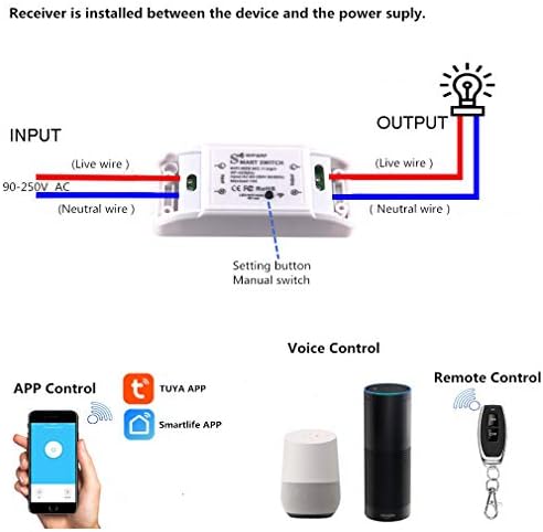 remote switch, WiFi &RF433, AC90-250V 10A, 1Gang wireless relay switch.Compatible with Alexa/Google Home,Voice Control,Timer Function.