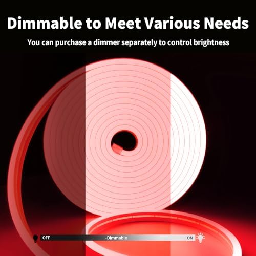 iNextStation Red LED Light Strip 16.4FT Neon Rope Lights (with DC12V Plug)