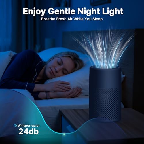 Air Purifiers for Bedroom, Dorm Room, True HEPA Filter for Smoke, Grey