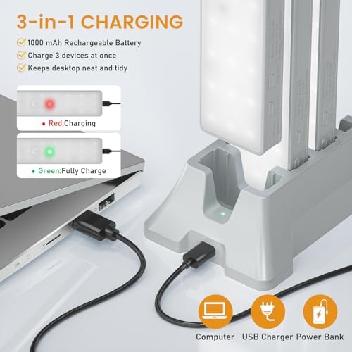Racokky Under Cabinet Lighting with Remote, Motion Activated RV Step Light