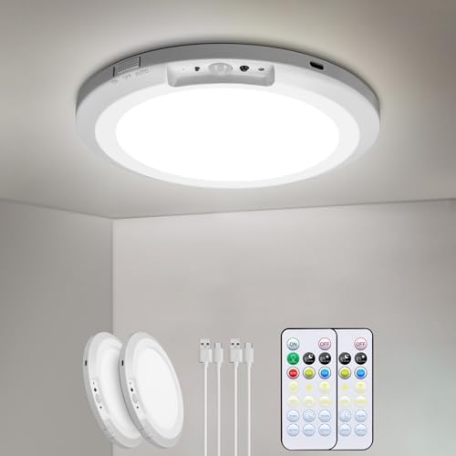 Battery Operated Ceiling Light, Motion Sensor Closet Light with Remote