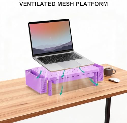 WALI Computer Monitor Stand with Storage and Pen Holder