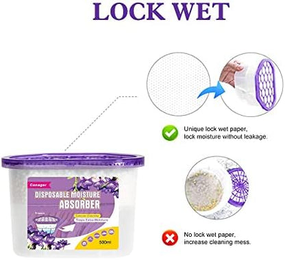 CANAGER Moisture Absorber Box-Odor Eliminator,Absorb Excess Moisture. Suitable for Wardrobe, Bedroom, Kitchen and Bathroom-6 Packs, Effectively Collect Water, Fresh Air,Freesia. Fuchsia