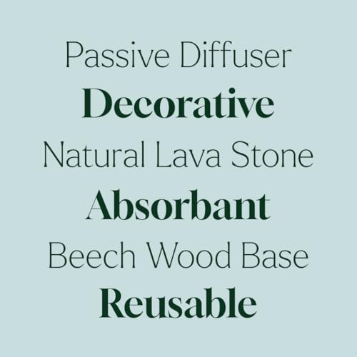 Plant Therapy Lava Rock Passive Diffuser for Essential Oils