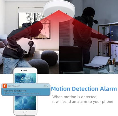 1080P HD Video Wireless Camera Smoke Detector Hidden Camera for Home Security with App Control & Motion Detection, WiFi Indoor Security Camera with Night Vision for Office, Pet, Garage, Shop