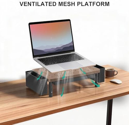 WALI Computer Monitor Stand with Storage and Pen Holder