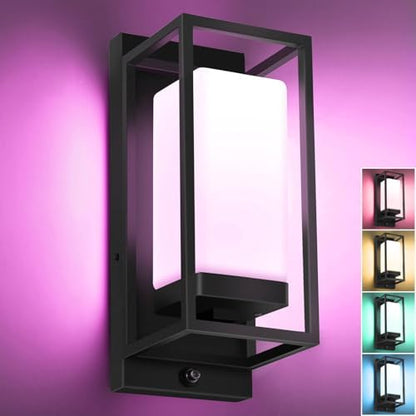 RAYVO Smart Porch Lights RGBCW Outdoor Wall Light, Color Changing Sconce