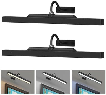 2Pack Picture Light, 13Hrs Lasting Battery Operated Picture Lights for Paintings,16in Remote Control Display Art Light with Timer for Wall Painting, Frame, Portrait, Display,Artwork,Gallery- Black