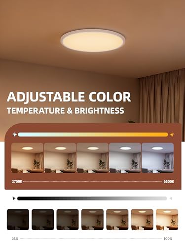 2 Pack 12 Inch Smart Ceiling Light Fixture, RGB LED Flush Mount Ceiling Light with Night Light, 24W 2400LM Ultra-Slim Ceiling Light with Remote, 16 Million DIY Colors, Works with Alexa/Google Home